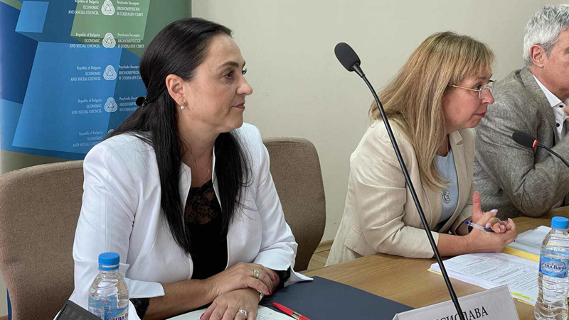 Заместник-министърът на труда и социалната политика Десислава Стоянова подаде оставка.