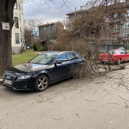 По силен вятър задуха днес в Пловдив Клон на дърво е