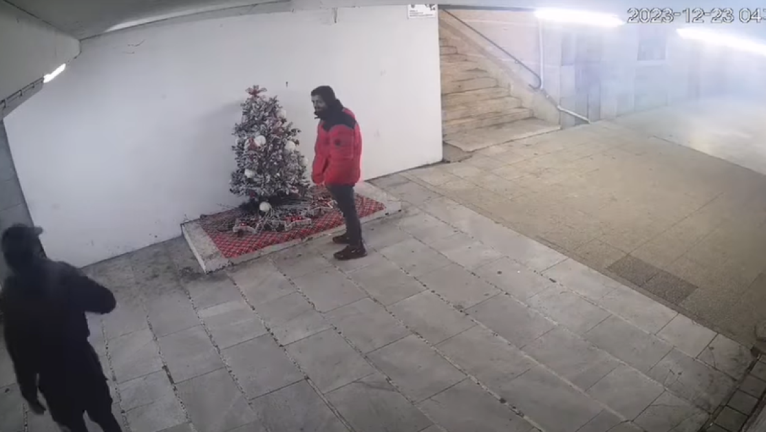 Мъж открадна коледна елха в Перник, камера го засне ВИДЕО