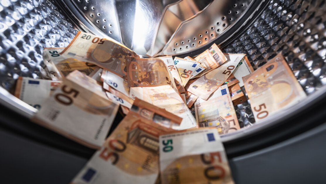 Гражданка на Дания изпрала над 1 млн. долара в Пловдив