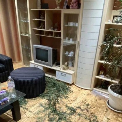 Разкриха домашна наркооранжерия в Перник след спецакция съобщиха от полицията
