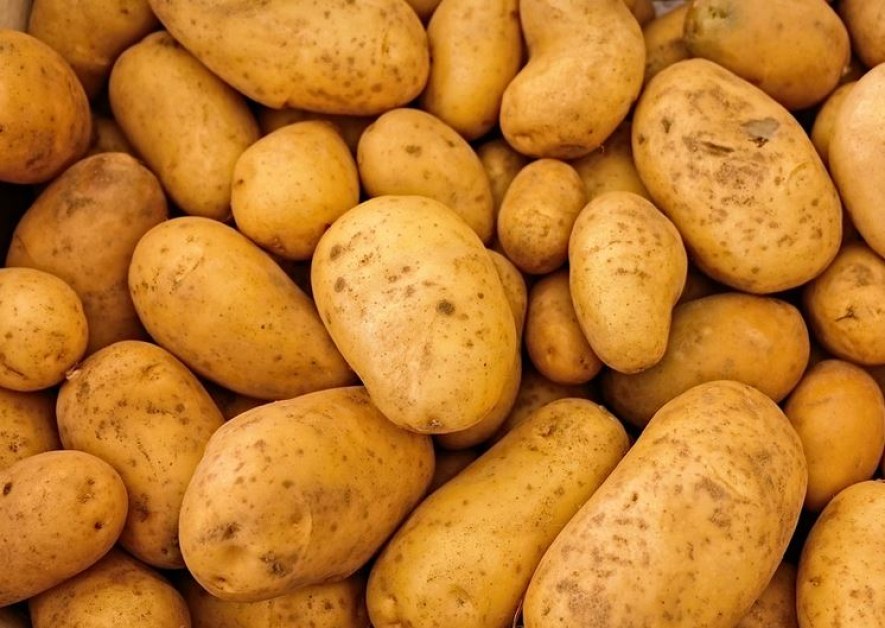 Откриха 71 570 евро, натъпкани под чували с картофи