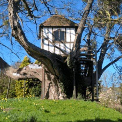 Най старата къща на дърво в света се намира в Пичфорд