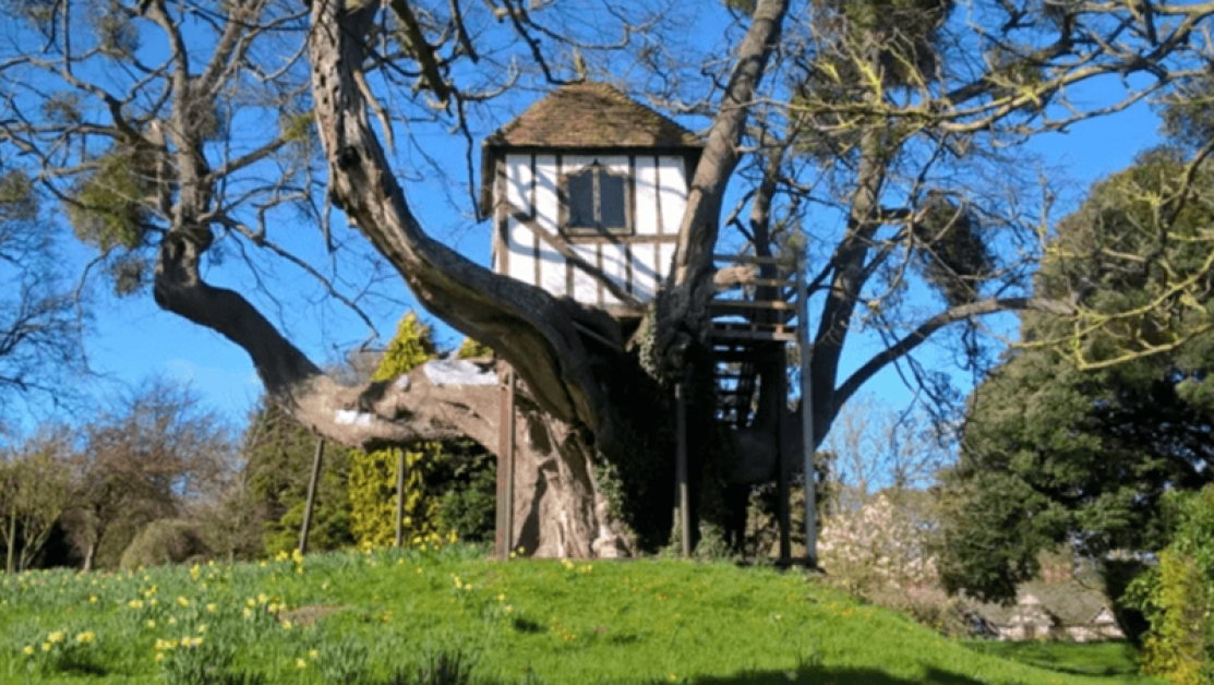 Най-старата къща на дърво в света се намира в Пичфорд,