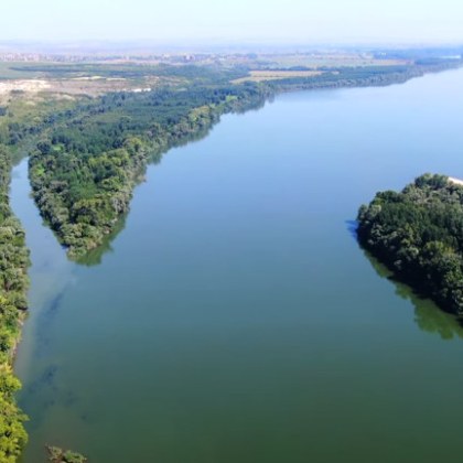 Има опасност от масово замърсяване на река Дунав след като