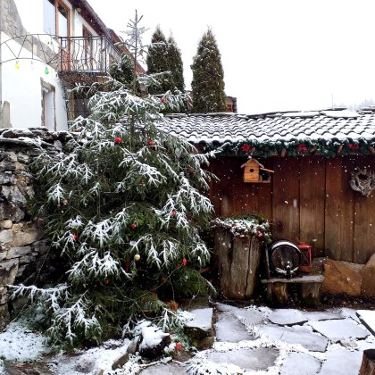 Зимната обстановка в община Родопи е спокойна Няма затворени участъци