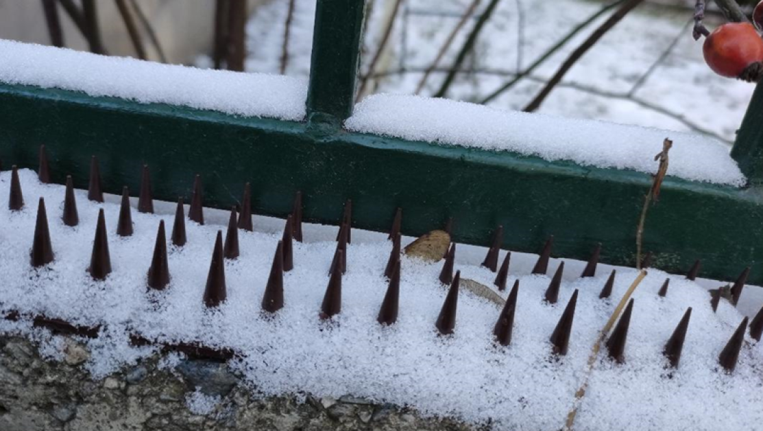Капан за котки: Лекар постави ръждиви шипове по ограда на кооперация в Монтана?