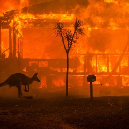 Стотици пожарникари се борят с излязъл извън контрол горски пожар