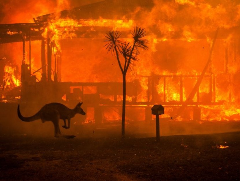 Стотици огнеборци се борят с горска стихия, излязла извън контрол