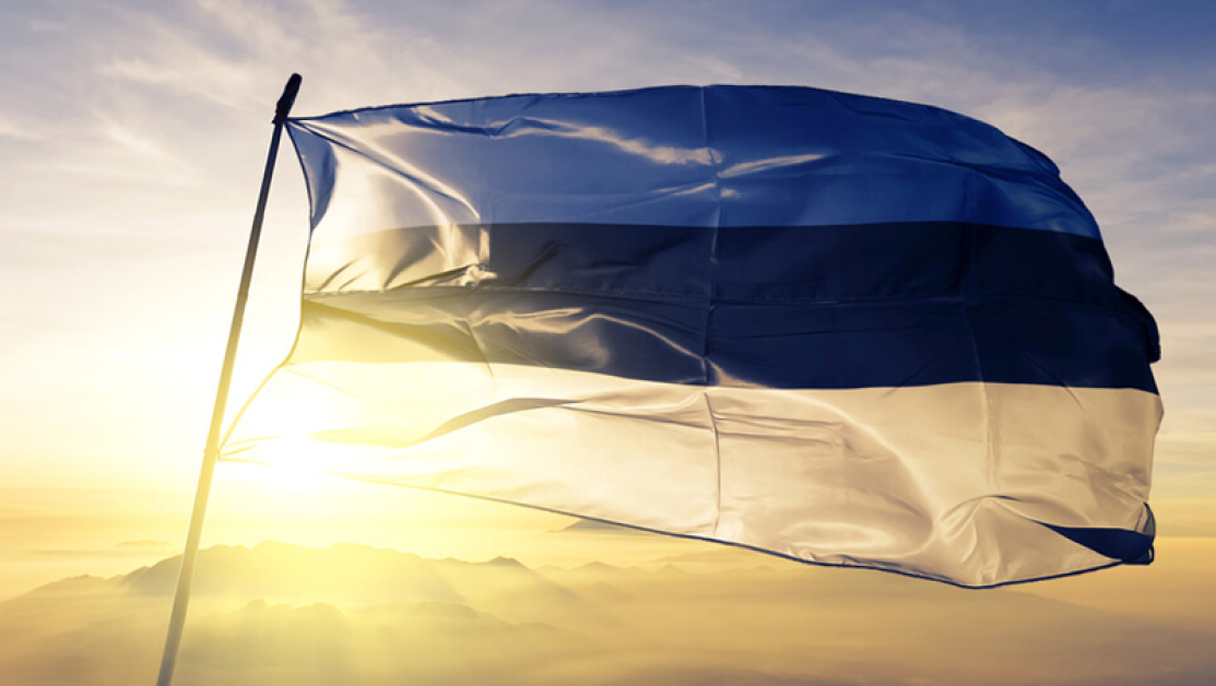Заплаха за сигурността на Естония“ – това се крие зад