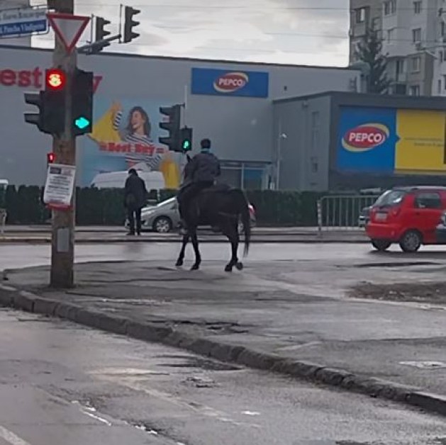 Интересна гледка! Мъж на кон пресича на пешеходна пътека ВИДЕО