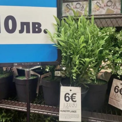 Търговци вече обявяват цените и в лева, и в евро