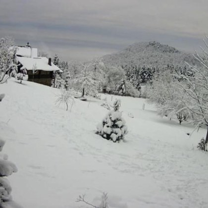 Екстремна промяна на времето и в Гърция Заради снега и