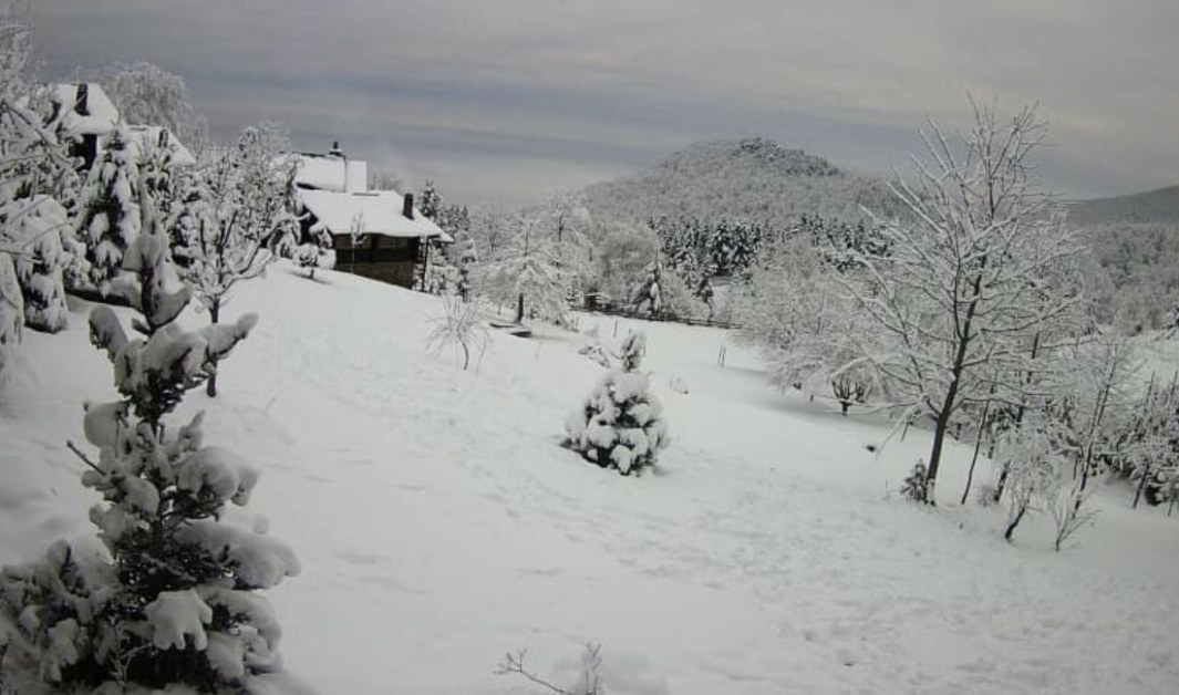 Сняг и поледици в части от Гърция