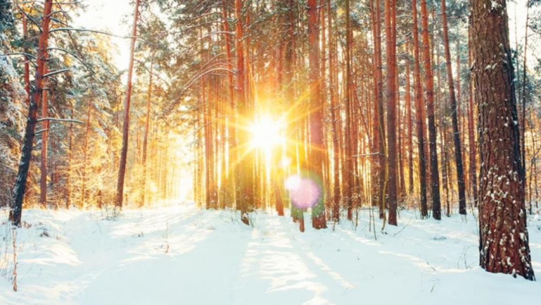 Климатолог: Забравете за сибирския студ! До дни очаквайте пролетните 15 градуса