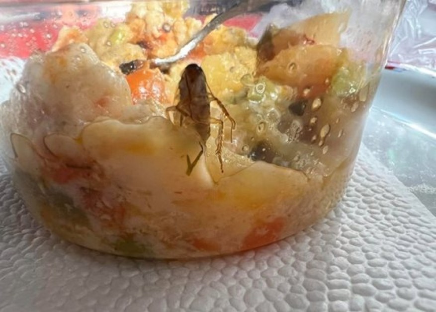Майка намери хлебарка в храна, взета от детска кухня  СНИМКА