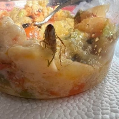 Майка намери хлебарка в храна, взета от детска кухня СНИМКА