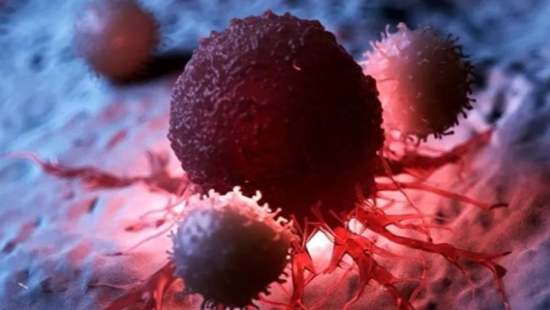 Учени откриха оригинален начин за борба с туморите