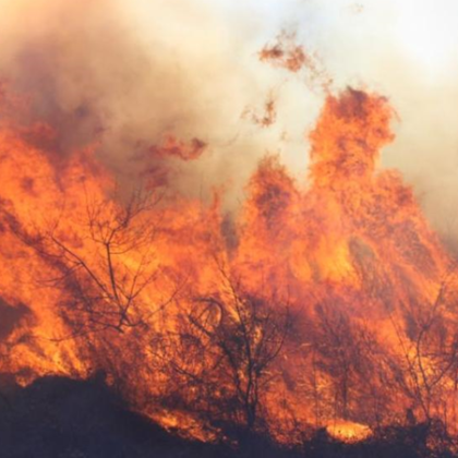 Извънредно положение е обявено в Чили вследствие на горски пожари
