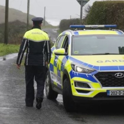 Тялото на шестгодишно момче е открито в кола в Ирландия Инцидентът