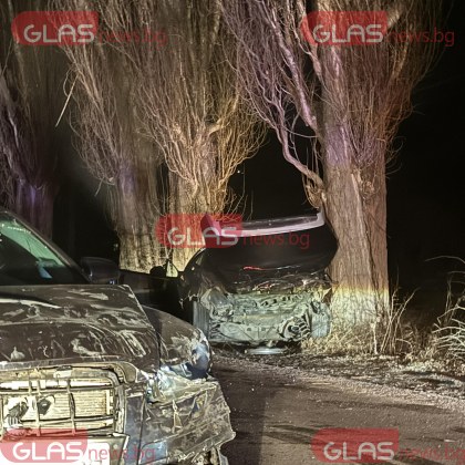 Челна катастрофа между два автомобила е станала между селата Драгичево