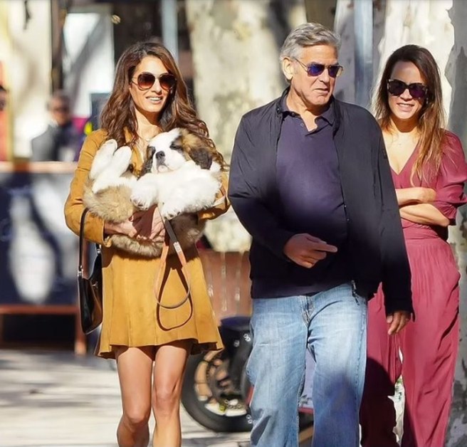 62-годишният американски актьор Джордж Клуни бе забелязан на среща със съпругата си