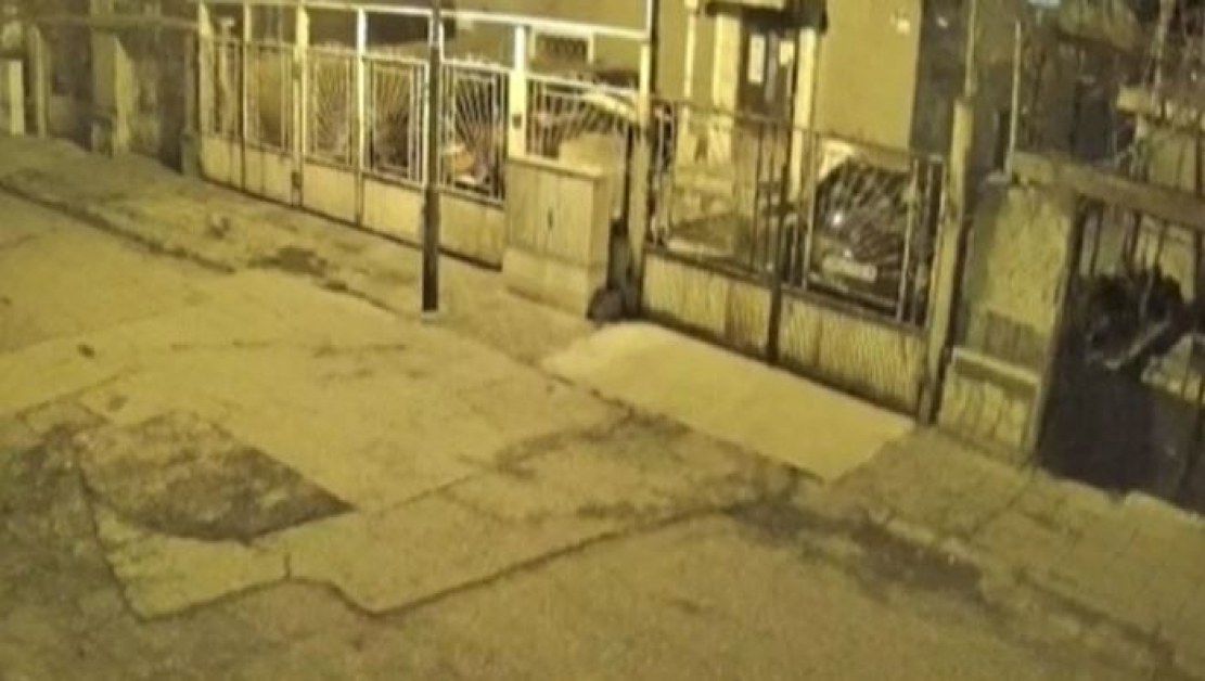 Появиха се кадри от момента на труса край Пловдив