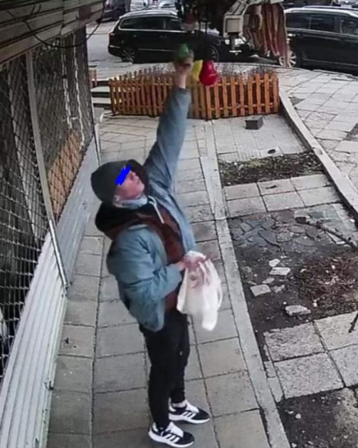 Гордостта на мама: Младеж 