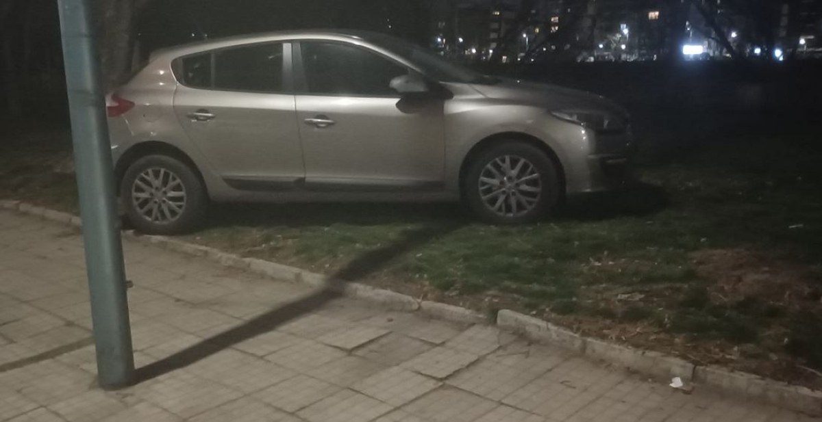 Кола реши проблема с паркирането - превзе полянка край реката СНИМКИ