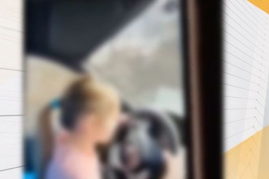 Нов случай: Заснеха малко момиче да шофира ВИДЕО