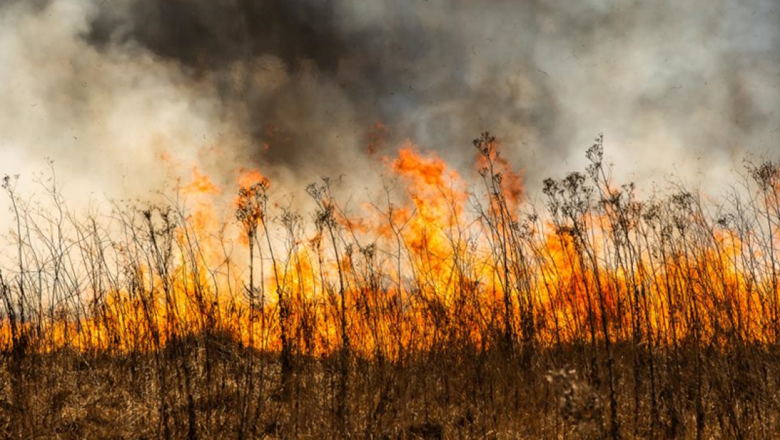 Горски пожар бушува край Сатовча