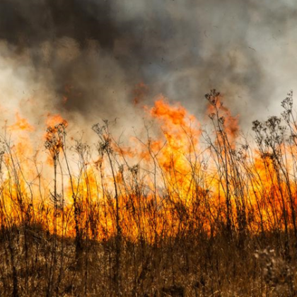 Голям пожар край Сатовча Служители от трите горски участъка на