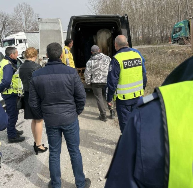 Спецакция на полицията в Раковски! Провериха десетки автомобили и лица