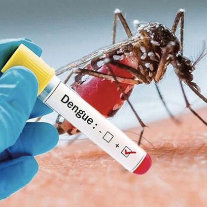 Инфекцията денга се разпространява в момента с необичайно висок темп