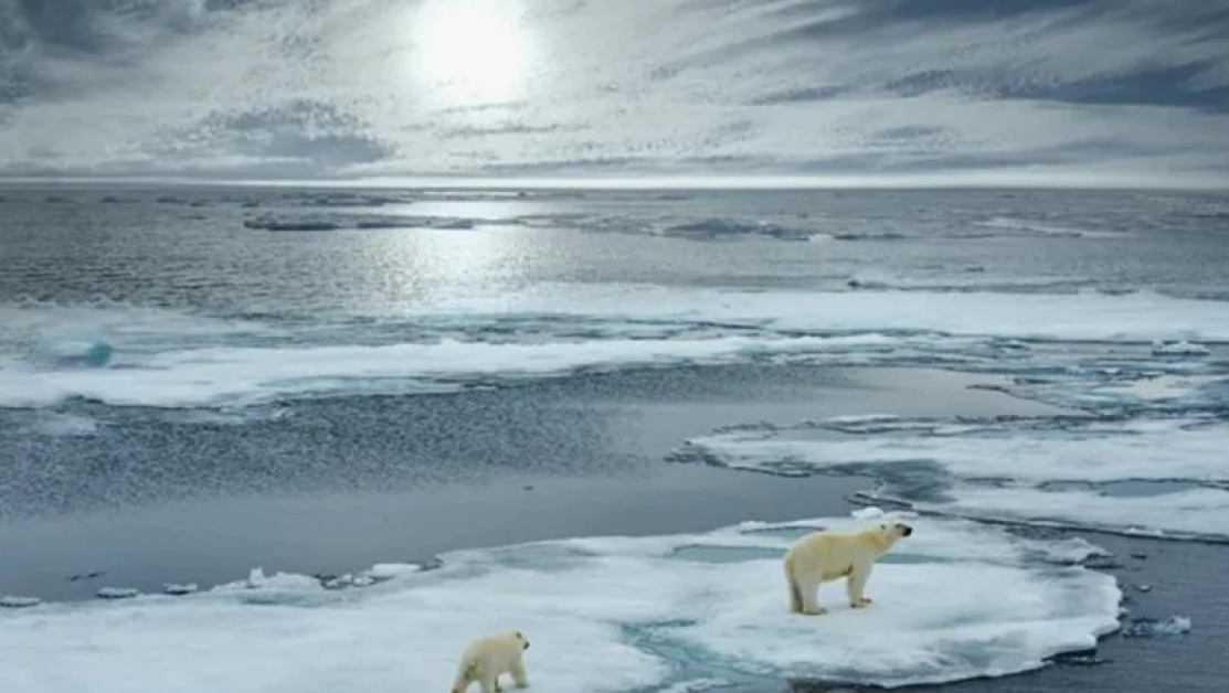 Ледът в Арктика неизбежно ще изчезне: Кога ще се случи това и кой ще пострада най-много