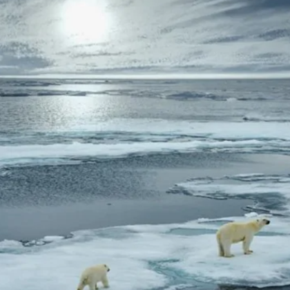 Учените вече не предупреждават че климатичната криза скоро ще се