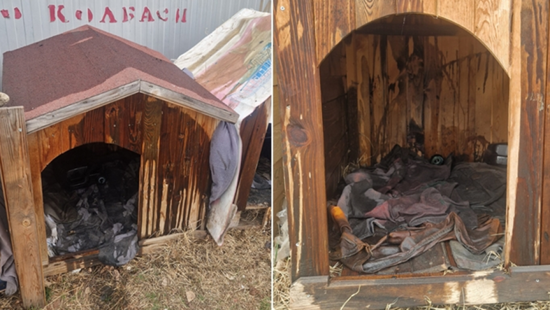 Вандализираха къщички за бездомни животни в София СНИМКИ