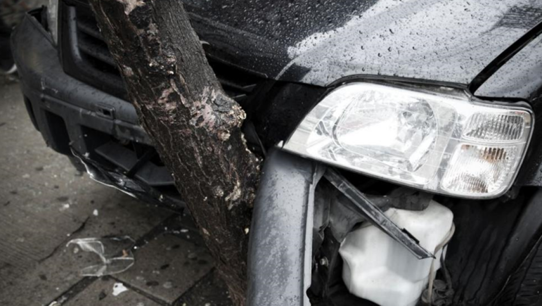 Шофьор загина, след като се заби в дърво във Видинско