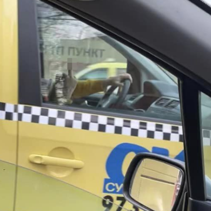 Шофьорка твърди че е била засечена от таксиджия в района