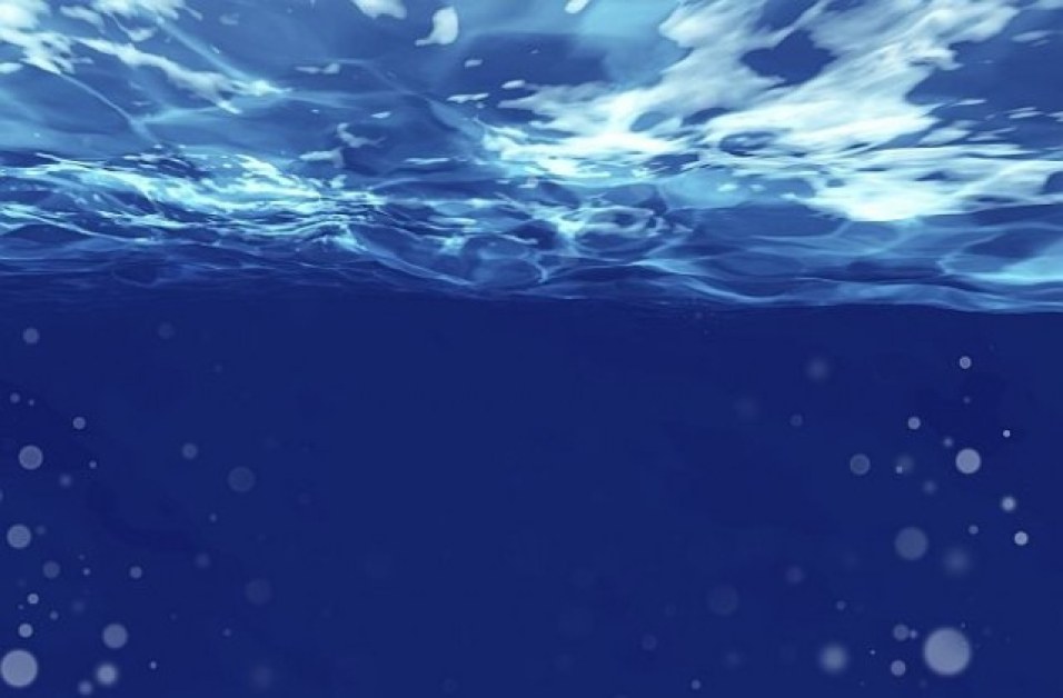 Учен твърди, че се е подмладил с 20 г., след като е прекарал 100 дни под вода
