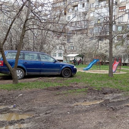 Софийска идилия: кола, катерушки и цъфнали дръвчета СНИМКИ