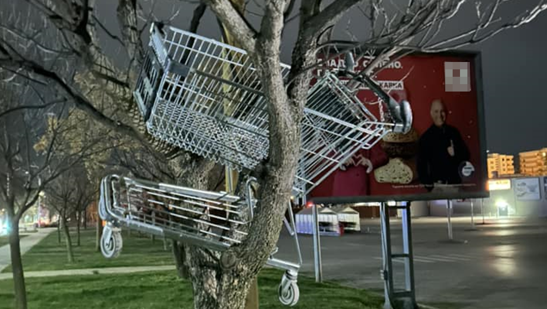 Пазарски колички са цъфнали по дървета в Благоевград - това