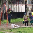 Работници от ОП Чистота Пловдив жизнерадостно се люлеят на детски люлки СНИМКИ