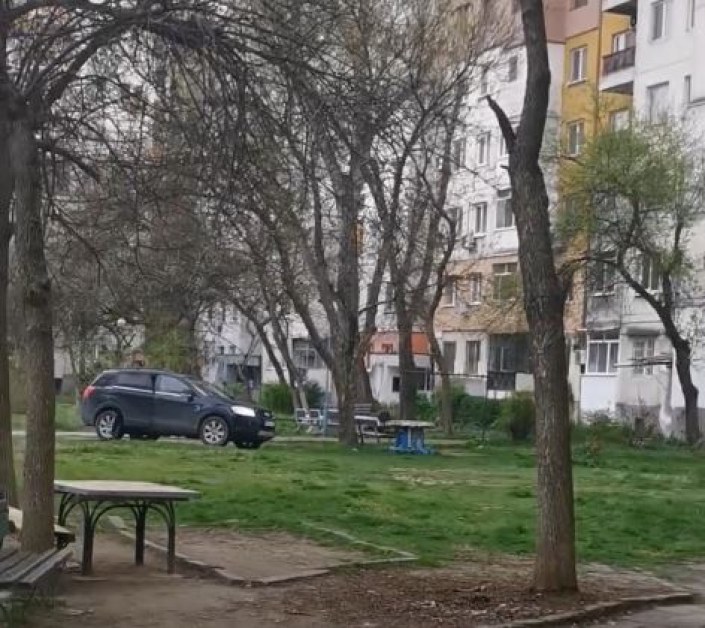 Джип цъфна на поляна в Пловдив. Редно ли е? СНИМКИ