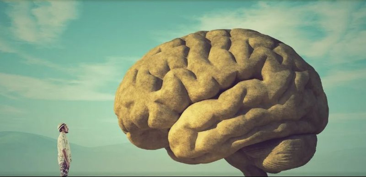 Човешкият мозък е нараснал значително през последните десетилетия: какво се случва