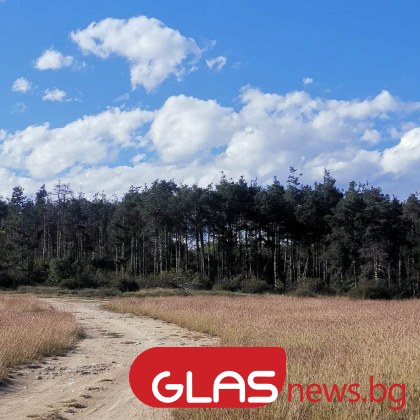 Слънчева неделя с разкъсана облачност