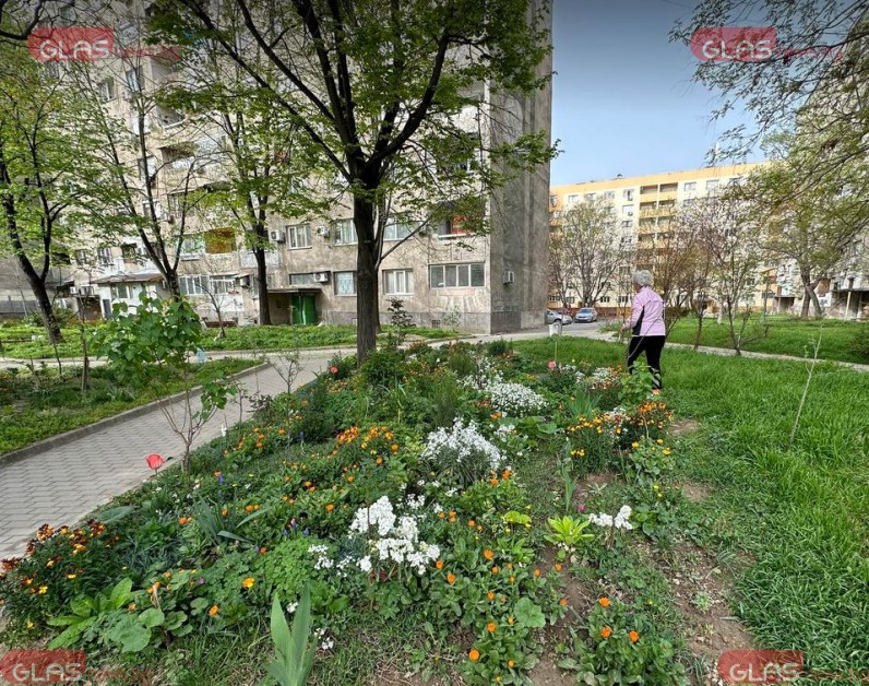 Работлива дама създаде райска градина между блоковете СНИМКИ