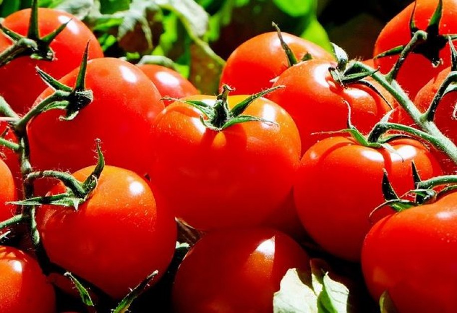 Откриха 19 опасни вещества в турски домати