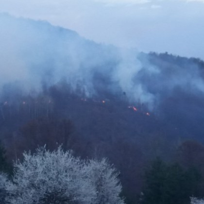 Горят два големи пожара в района на Копривщица Огъня гасят служители