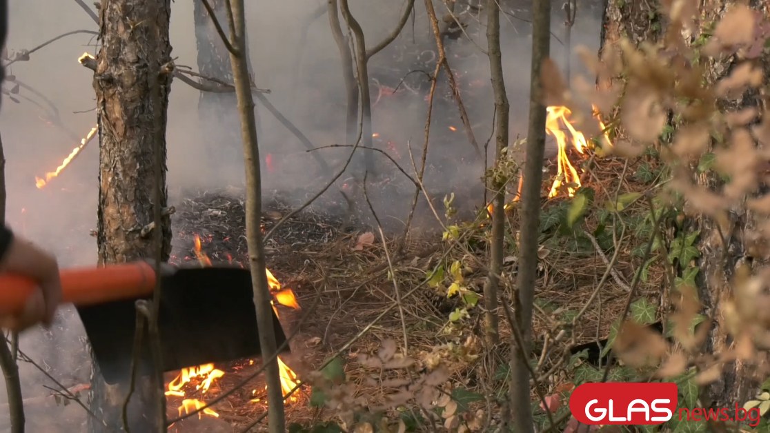 Пожар гори в района на военния полигон в Змейово